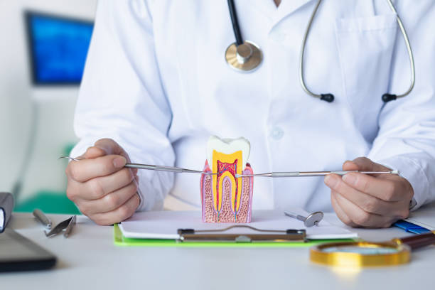 Best Emergency Denture Repair in Hertford, NC